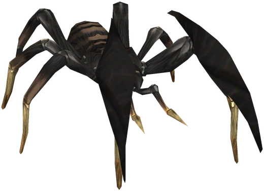 Tarantula de Nisip, păianjen uriaș cu carapace deschisă la culoare